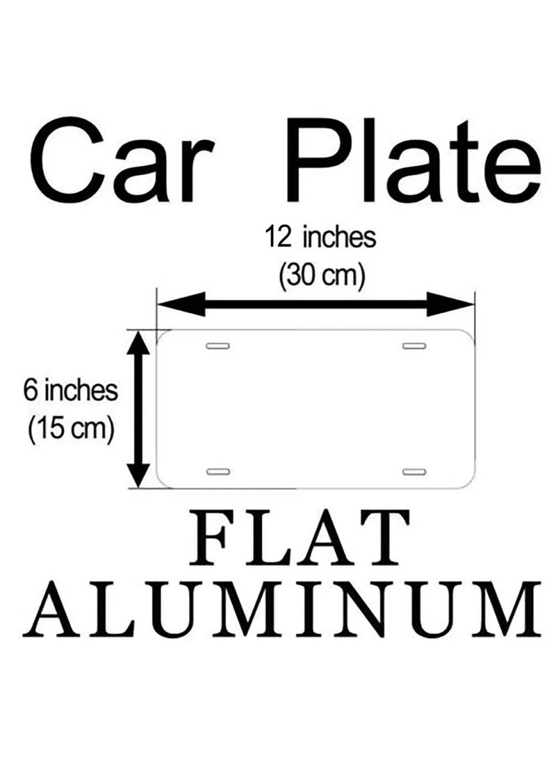 Generic Paris France PR Stainless Steel Number Plate | Vintage European Style License Plate | Durable & Rust-Proof Car Decor | Authentic French Number Plate for Home, Office, or Garage Wall Decoration  - Image 2