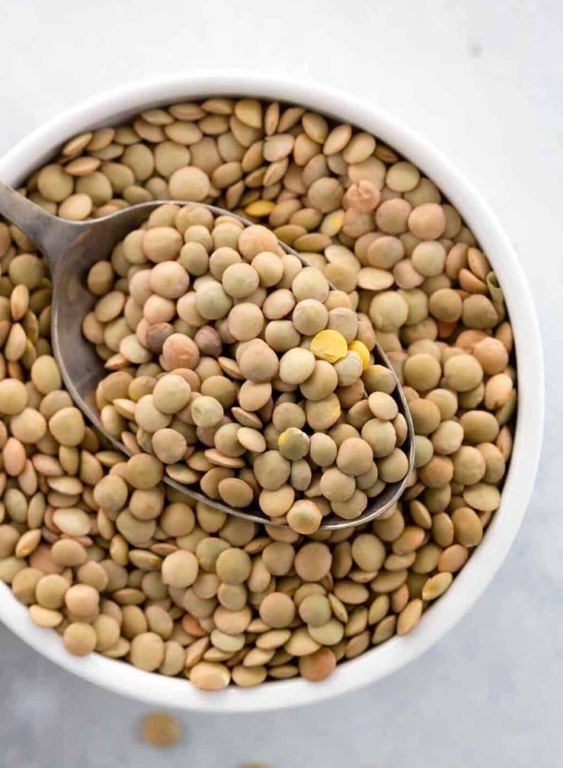 GREEN LENTIL 500 GM - Image 1