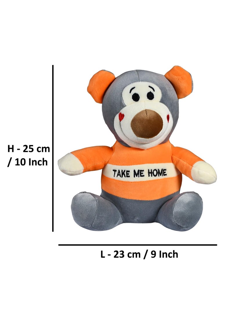 Saugat Traders - Saugat Traders Birthday Gift Combo - Birthday Scroll Card & Soft Toy Teddy Bear - Gift for Girls, Boys, Sister, Brother, Girlfriend, Wife - Image 1