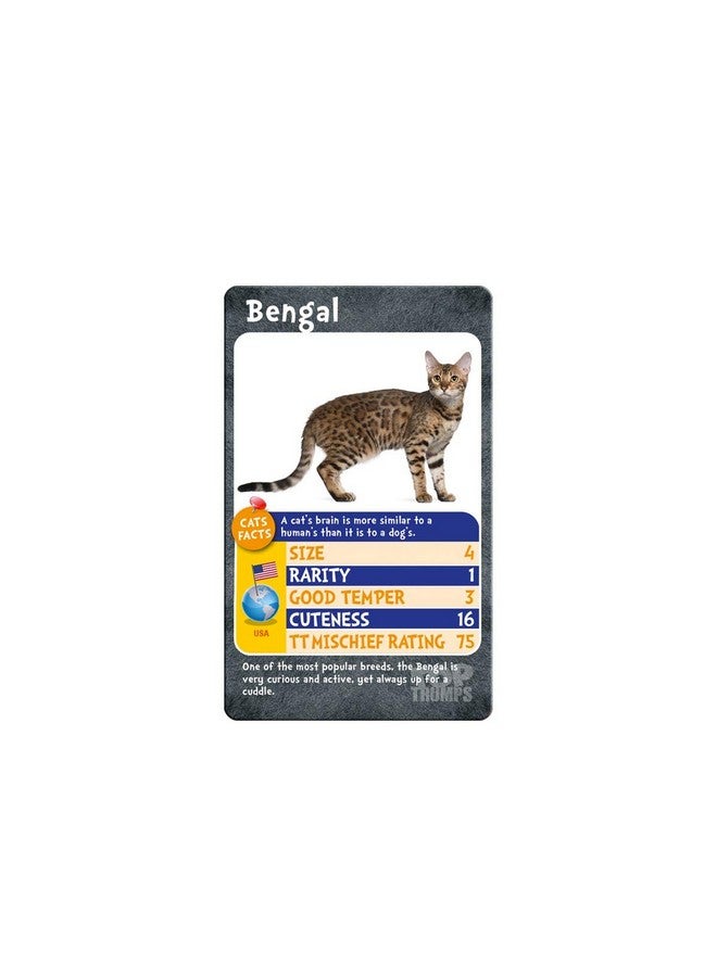Top Trumps Cats and Kittens Top Trumps Card Game - Image 3