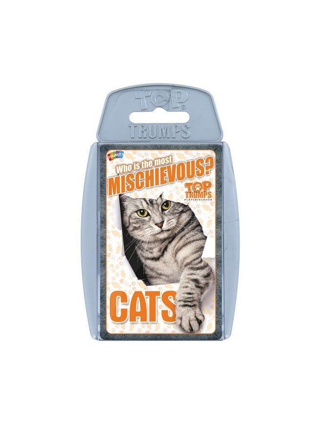 Top Trumps Cats and Kittens Top Trumps Card Game - Image 2