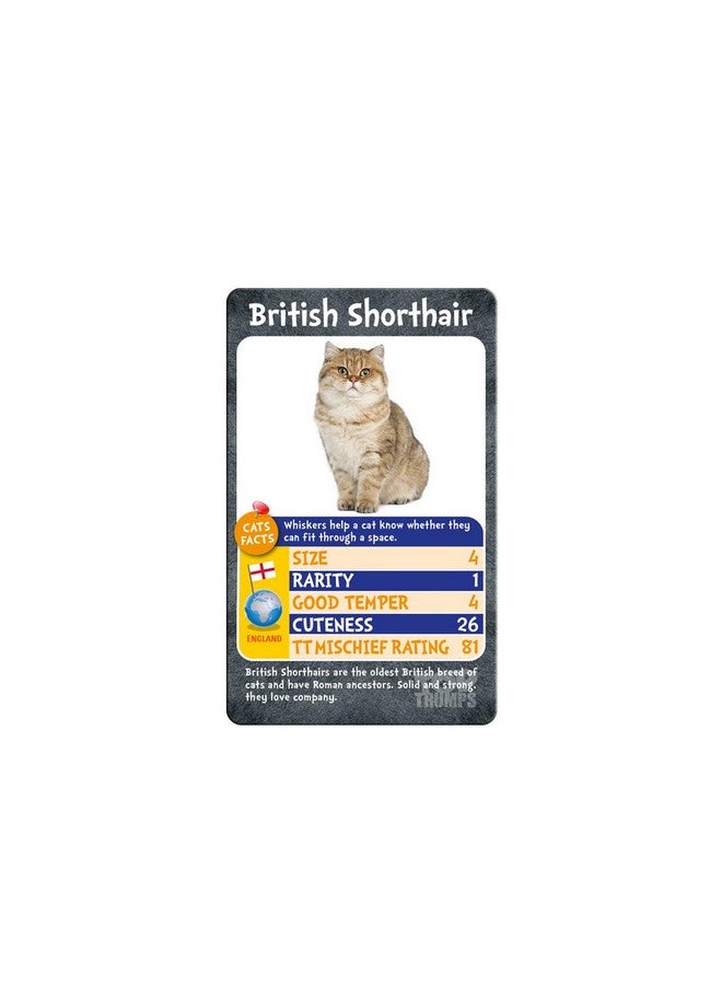 Top Trumps Cats and Kittens Top Trumps Card Game - Image 4