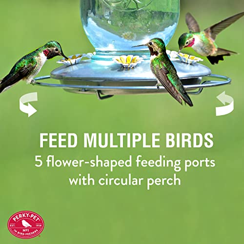 Perky-Pet Mason Jar Vintage Style Glass Hummingbird Feeder 785-1SR - Humming Bird Feeders for Outdoor Garden Decor - 32 Oz Nectar Capacity - Image 4