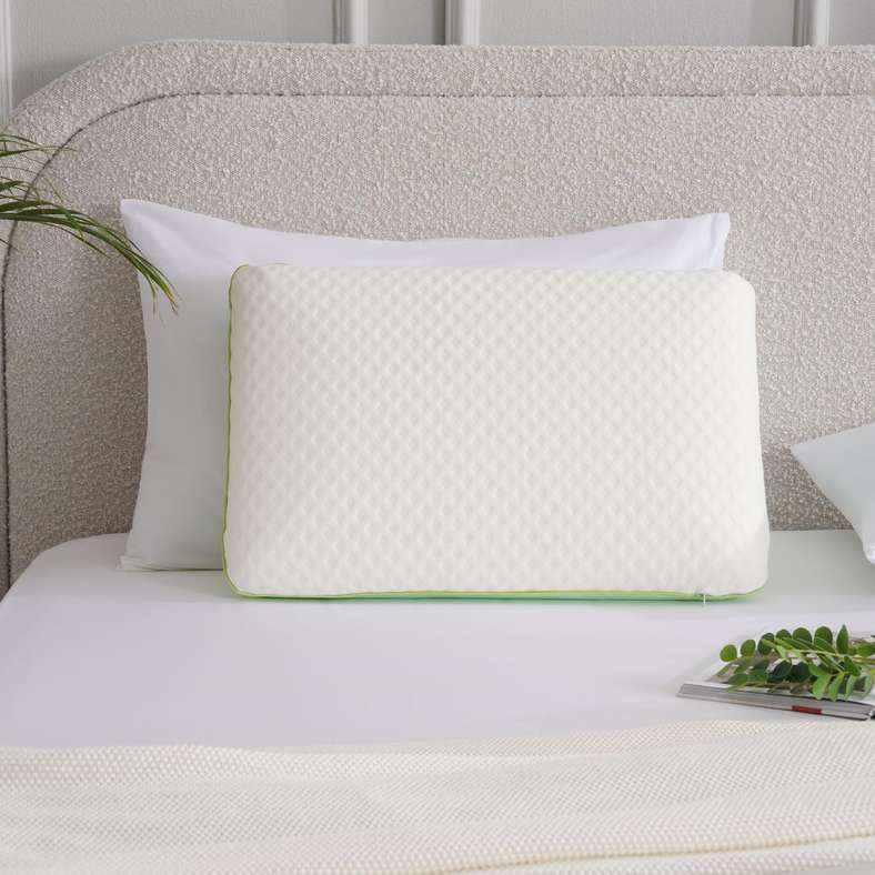 Pan Home Aloe Vera Infused Memory Foam Pillow 40x60x13cm - Green - Image 1