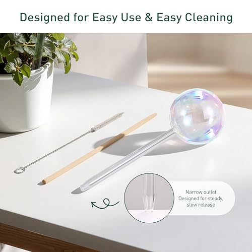 Soilagua Extra-Thick Clear Glass Plant Watering Globes, Rainbow Gradient Self Watering Globes, Automatic Plant Waterer, Self Watering Planter Insert Spikes Devices for Everyday or Vacation Use, 2-Pack - Image 5