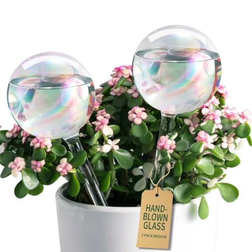 Soilagua Extra-Thick Clear Glass Plant Watering Globes, Rainbow Gradient Self Watering Globes, Automatic Plant Waterer, Self Watering Planter Insert Spikes Devices for Everyday or Vacation Use, 2-Pack - Image 1