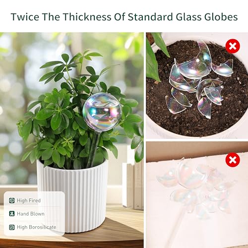 Soilagua Extra-Thick Clear Glass Plant Watering Globes, Rainbow Gradient Self Watering Globes, Automatic Plant Waterer, Self Watering Planter Insert Spikes Devices for Everyday or Vacation Use, 2-Pack - Image 4