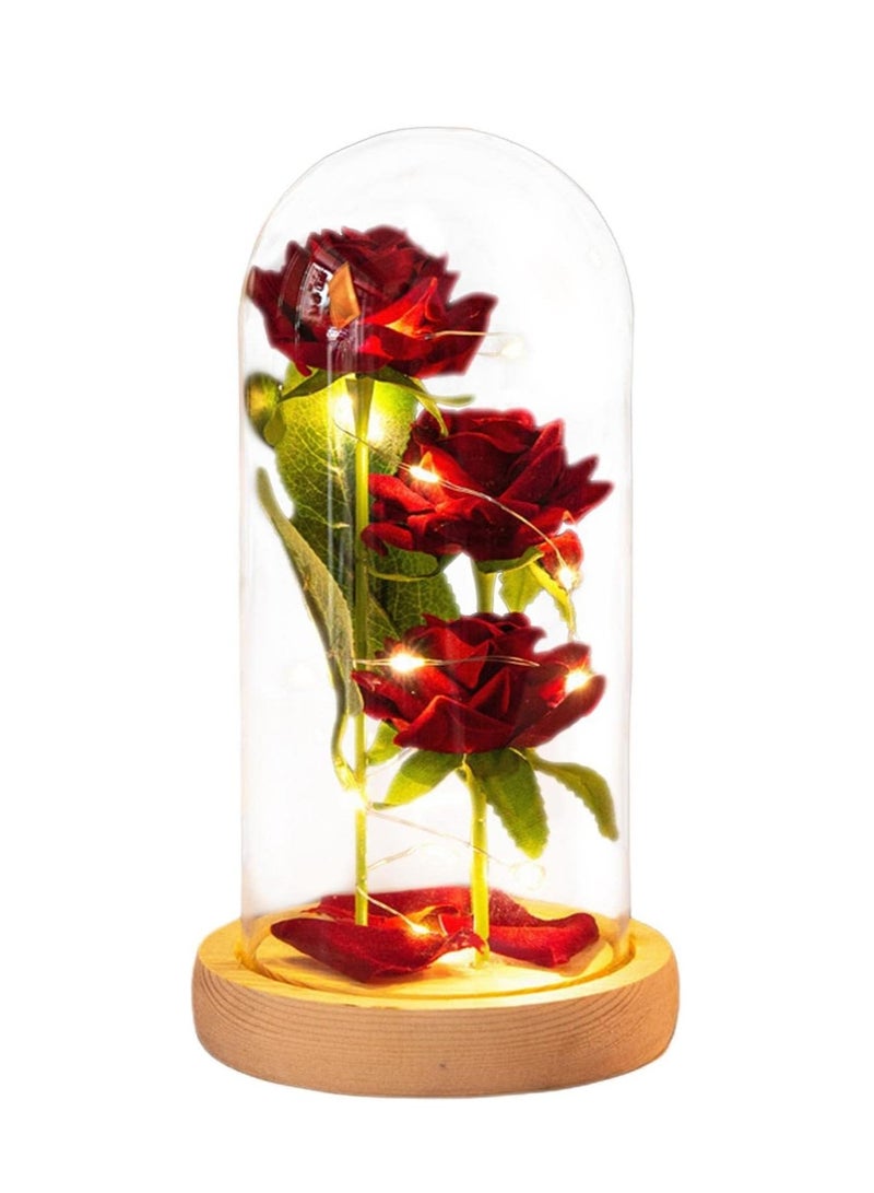 Beauty and The Beast Rose, Valentines Gifts for Women, Birthday Gifts for Mom, Light Up Rose in Glass Dome, Eternal Rose Flower Gifts for Mom, Valentines Rose Gifts Girlfriends for Wife  - Image 1