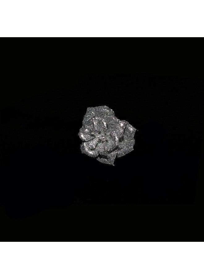 رابيدز فلو دبابيس كبيرة من Rapidsflow® لتزيين الكعكة/دبابيس Juda للشعر للنساء والفتيات (مجموعة من 12 قطعة باللون الذهبي والفضي) - Image 3