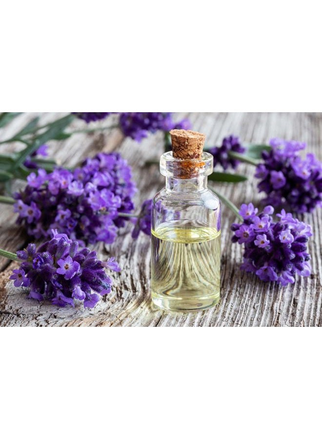 Dr Joe Lab Lavender Essential Massage Oil Blend for Deep Tissue Aromatherapy Blended with Jojoba and Other Rich and Natural Bulk Oil - 32 Ounces - Cocojojo - Image 5