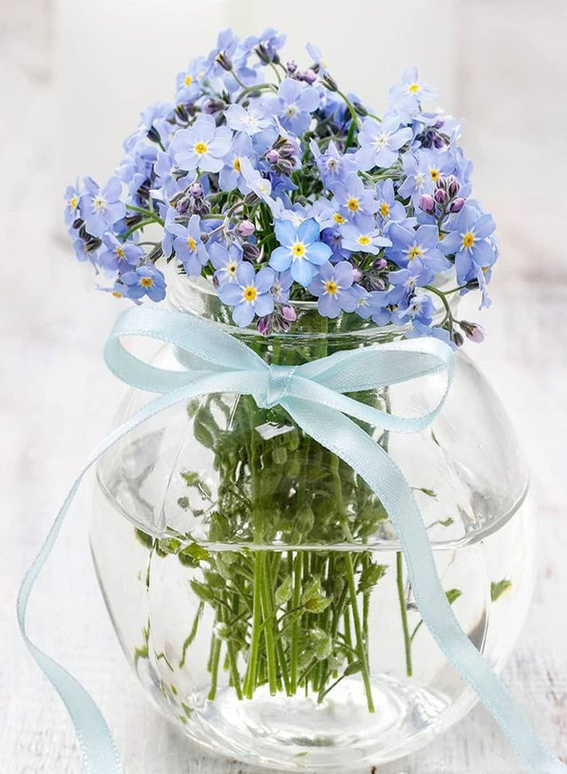 GGOOT 100pcs Rare Forget-me-not Seeds Grow Your Own Blue Flowers Don't Need Much Care Enjoy Unique Beautiful Scenery Decorative Outdoor Patio - Image 2