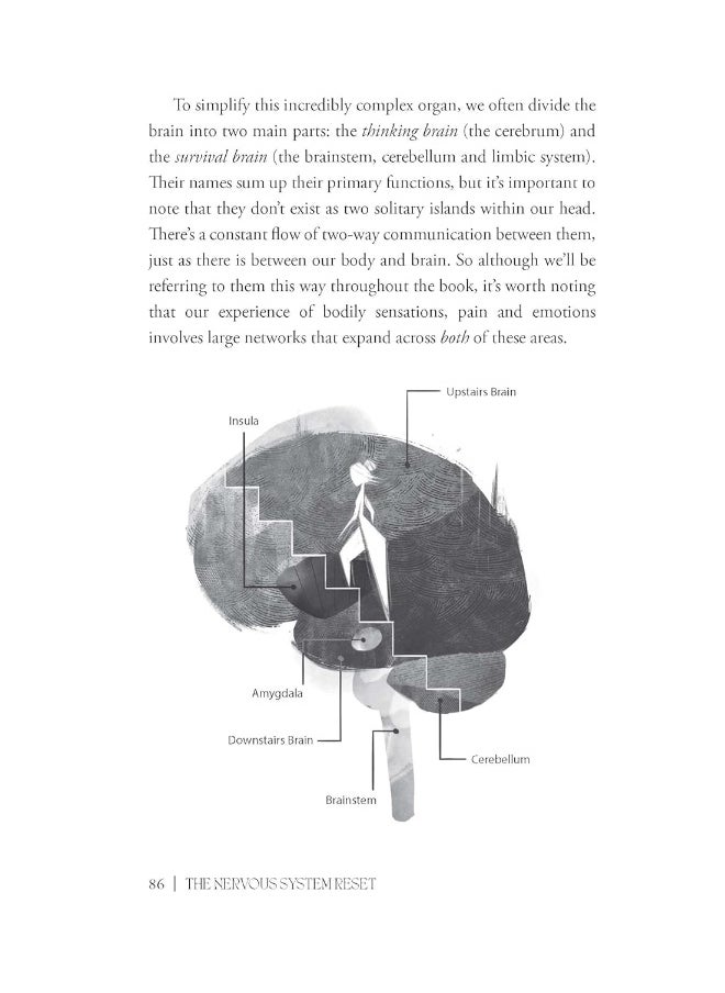 null - The Nervous System Reset: Unlock the brain-body connection to boost mood and better health - Image 1