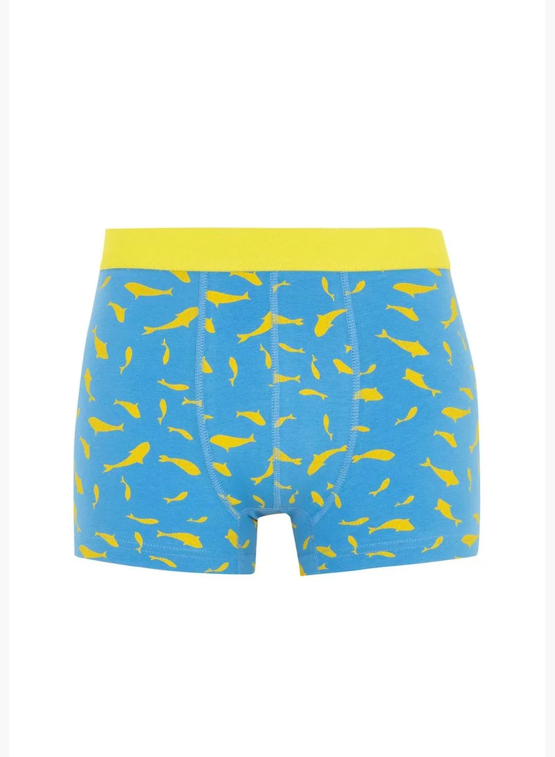 DeFacto 3 Pack Man Knitted Boxer