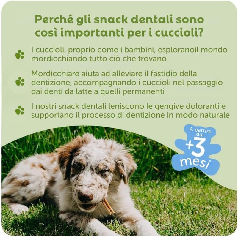 WHIMZEES by Wellness Puppy Stix, Chew Bones for Large Puppies, Dog Snack for Dental Care, Size M/L, 14 Pieces, No Added Sugar, Grain-Free, Natural, Low Fat - Image 3