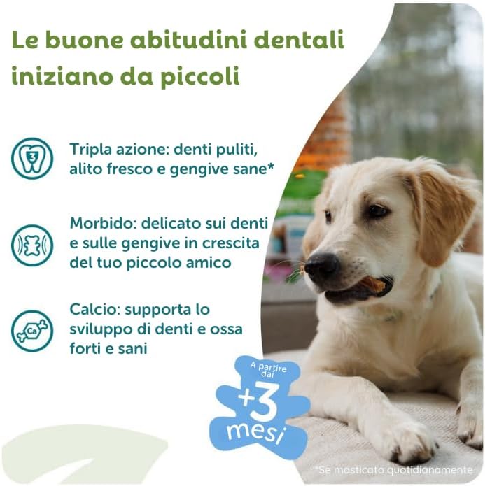 WHIMZEES by Wellness Puppy Stix, Chew Bones for Large Puppies, Dog Snack for Dental Care, Size M/L, 14 Pieces, No Added Sugar, Grain-Free, Natural, Low Fat - Image 2