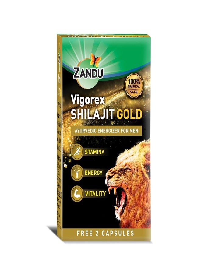 Zandu Vigorex Shilajit Gold - 12 Capsules - Image 1