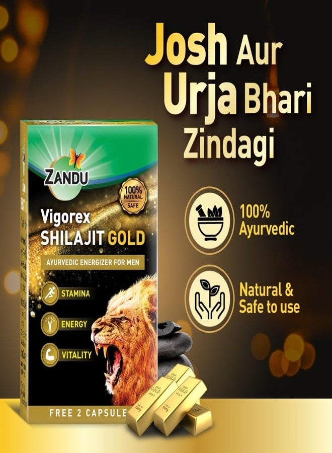 Zandu Vigorex Shilajit Gold - 12 Capsules - Image 3