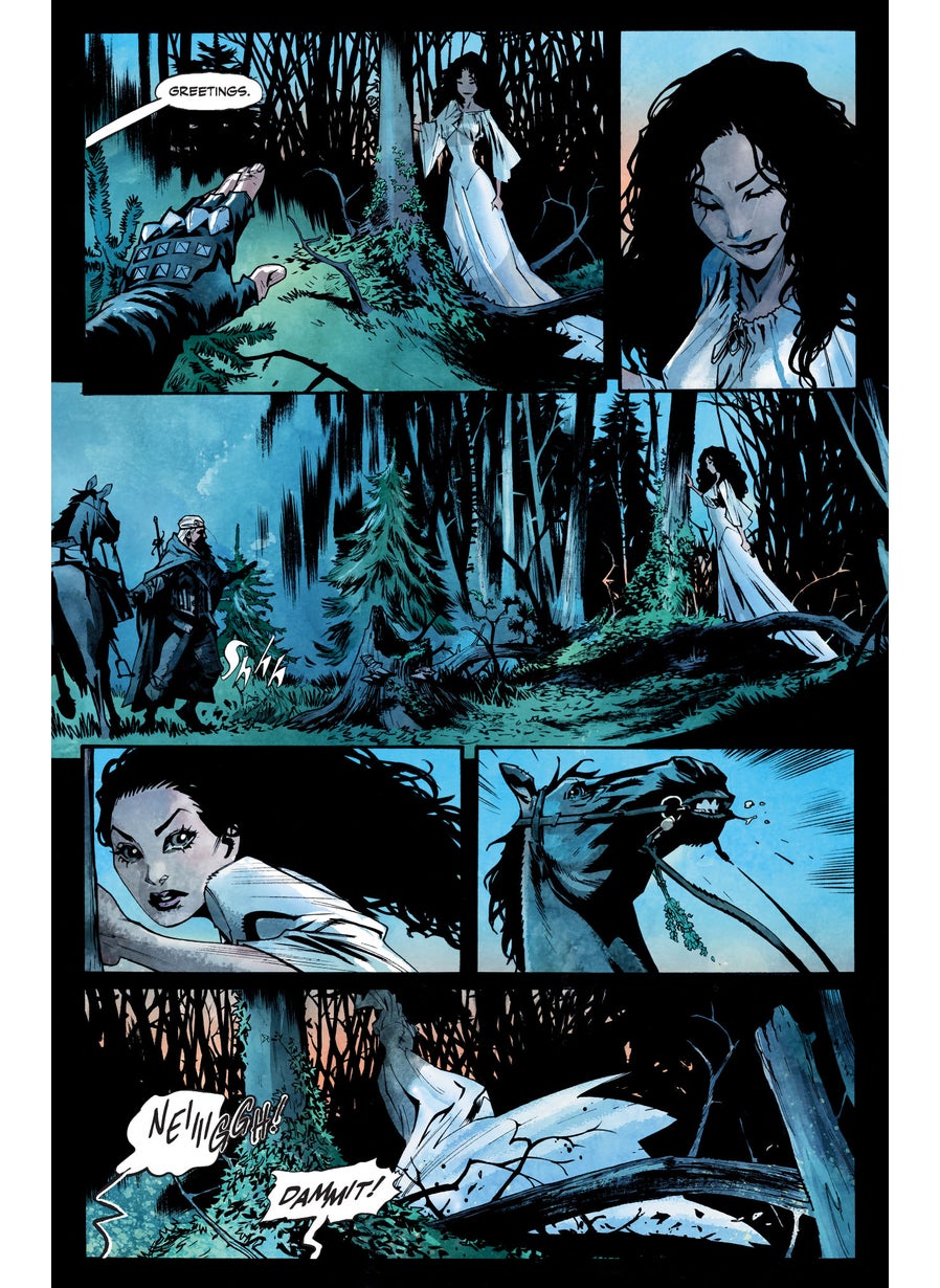 Andrzej Sapkowski's The Witcher: A Grain of Truth