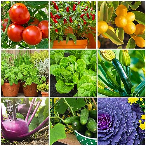 The Old Farmer's Almanac Tomato & Vegetable Plant Food Mini Spikes - NPK 6-4-6 for Continuous Feeding and Bountiful Harvests (12 Mini Plant Food Spikes) - Image 3