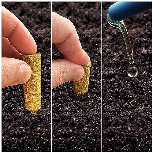 The Old Farmer's Almanac Tomato & Vegetable Plant Food Mini Spikes - NPK 6-4-6 for Continuous Feeding and Bountiful Harvests (12 Mini Plant Food Spikes) - Image 2