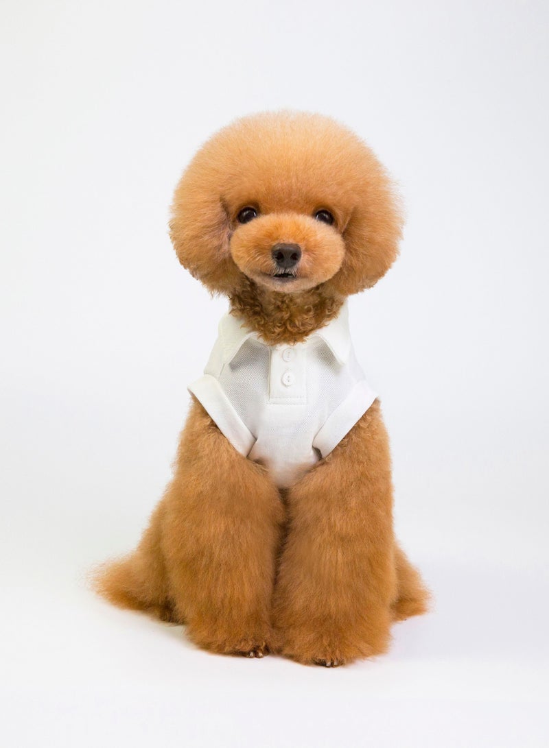 Loquat تي شيرت كاجوال للكلاب أبيض - Image 1