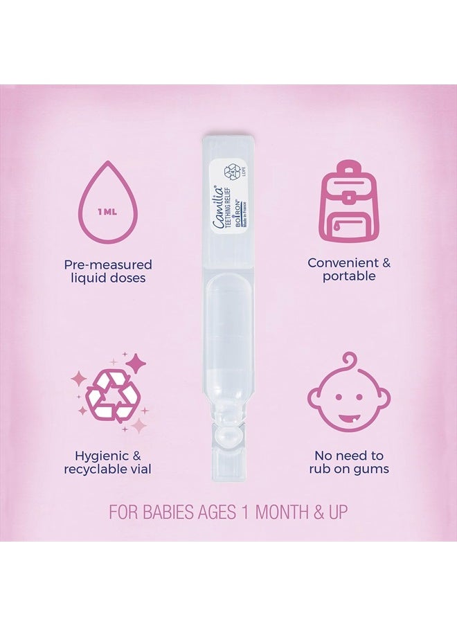 Boiron - Camilia Teething Drops for Daytime and Nighttime Relief of Painful or Swollen Gums and Irritability in Babies - 60 Count - Image 1