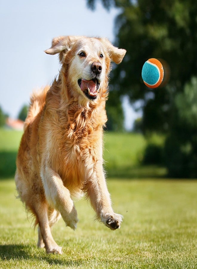 ALL FOR PAWS 2.5-inch Tennis Balls for Dogs, Fetch Balls for Medium Large Dogs, Bouncy &Durable Dog Ball Toys for Ball Launcher Toy, 4 Pack Fetch Toy for Outdoor Play - Image 4