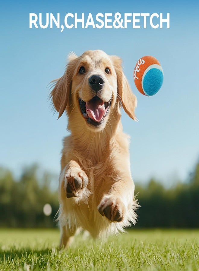 ALL FOR PAWS 2.5-inch Tennis Balls for Dogs, Fetch Balls for Medium Large Dogs, Bouncy &Durable Dog Ball Toys for Ball Launcher Toy, 4 Pack Fetch Toy for Outdoor Play - Image 3