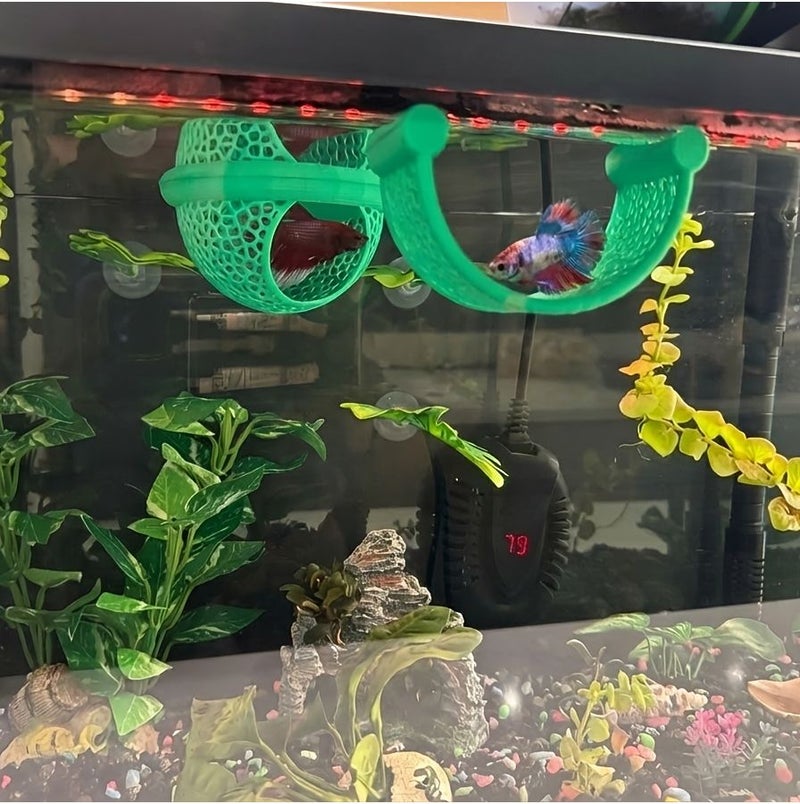 Tangerine Plastic Mesh Hammock Resting Area for Betta Fish Near Water Surface - Image 3