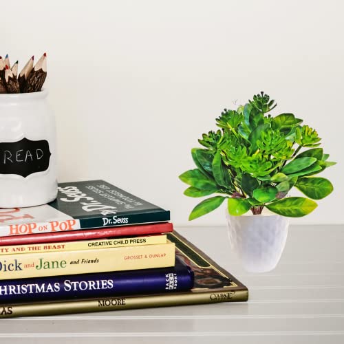 ARTSY® Artificial Flowers with Pot for Home Decoration, Succulent Plant Bunch with Pot, Table top, Office Décor, Green 1 Piece - Image 5