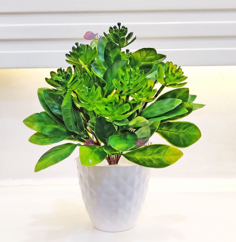 ARTSY® Artificial Flowers with Pot for Home Decoration, Succulent Plant Bunch with Pot, Table top, Office Décor, Green 1 Piece - Image 1