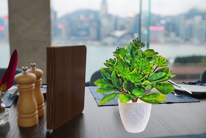 ARTSY® Artificial Flowers with Pot for Home Decoration, Succulent Plant Bunch with Pot, Table top, Office Décor, Green 1 Piece - Image 3