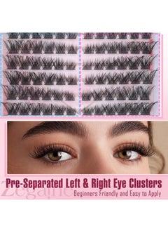 Zegaine Cat Eye Lash Extensions Kit Natural Lashes Clusters Cat Eyelash Extension Natural Cluster Lashes Left&Right Fox Eye Eyelash Cluster Kit with Glue, Tweezers, Brushes 8-16MM 132pcs 11 Pairs by Zegaine  - Image 3