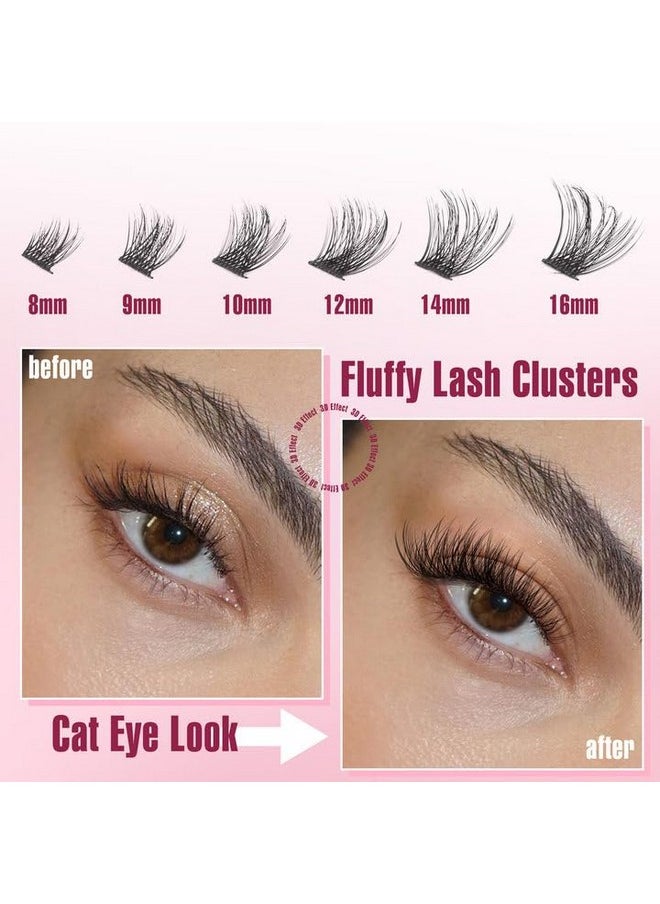 Zegaine - Cat Eye Lash Extensions Kit Natural Lashes Clusters Cat Eyelash Extension Natural Cluster Lashes Left&Right Fox Eye Eyelash Cluster Kit with Glue, Tweezers, Brushes 8-16MM 132pcs 11 Pairs by Zegaine - Image 1