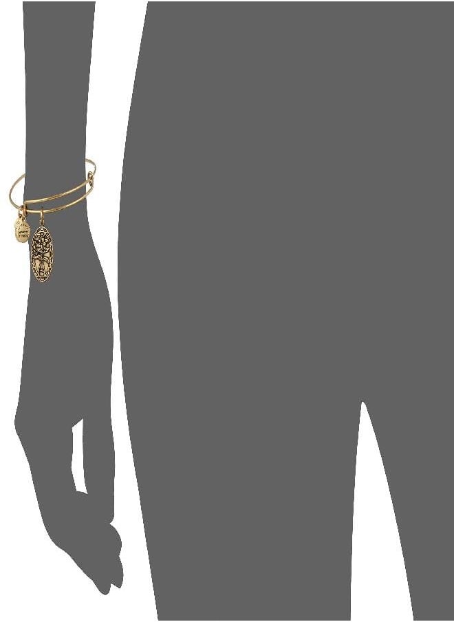 ALEX AND ANI Alex and Ani Because I love you, Friend II Expandable Rafaelian Gold-Tone Bracelet  - Image 3