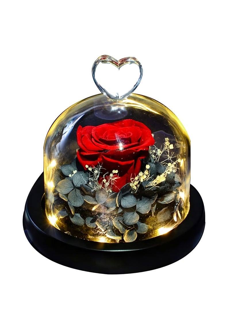 Eternal Rose in a Glass Dome Glass Rose with LED Light Rose Gift for Girlfriend Mother Wife