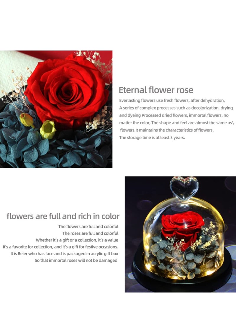 Eternal Rose in a Glass Dome Glass Rose with LED Light Rose Gift for Girlfriend Mother Wife