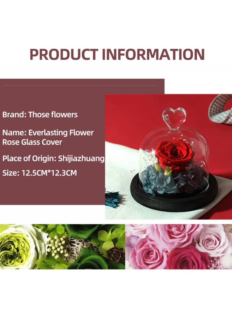 Eternal Rose in a Glass Dome Glass Rose with LED Light Rose Gift for Girlfriend Mother Wife