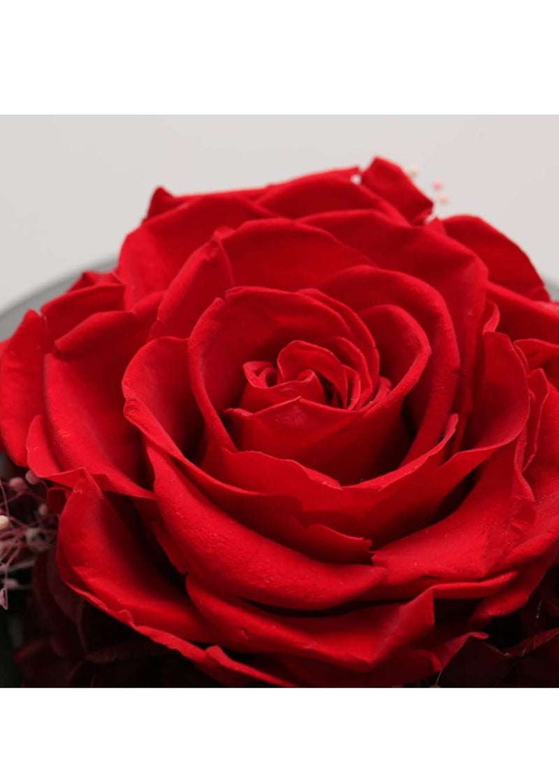 Eternal Rose in a Glass Dome Glass Rose with LED Light Rose Gift for Girlfriend Mother Wife