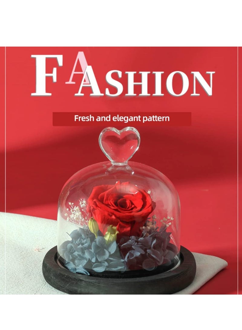 Eternal Rose in a Glass Dome Glass Rose with LED Light Rose Gift for Girlfriend Mother Wife