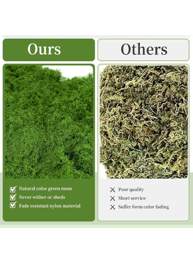 Fake Green Moss – Ultra-Realistic Artificial Preserved Moss. Perfect for crafts, DIY decor, potted mulching, fairy gardens, weddings & table centerpieces. Lifelike, no maintenance. (LIGHT GREEN)100G - Image 5