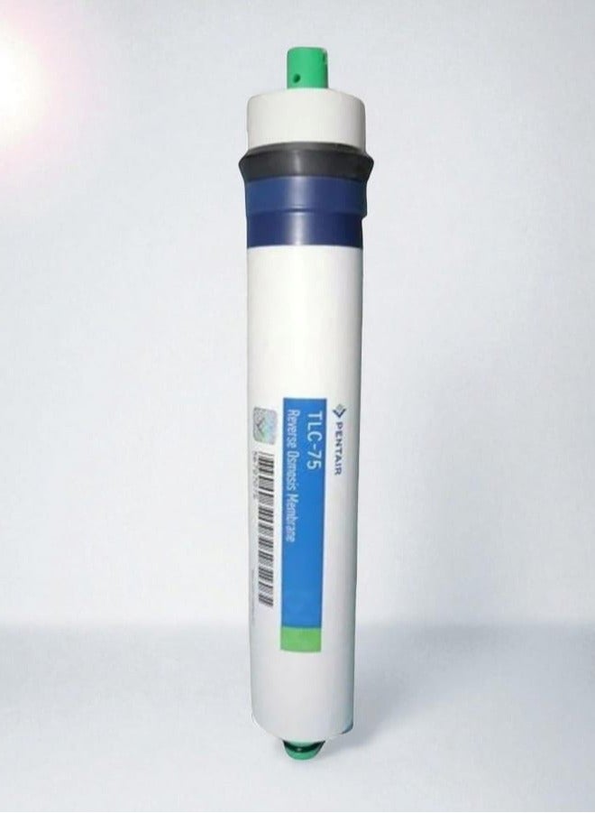 PENTAIR Stage 4 Membrane Candle