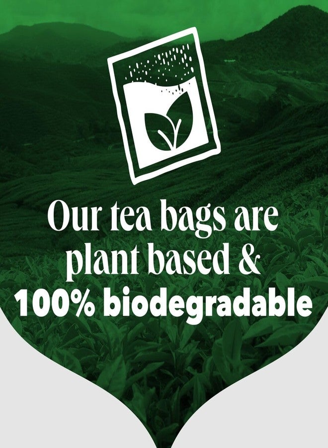 PG Tips Premium Black Tea For a Classic Caffeinated Beverage, Black Tea Bags, 240 Total Bags (40 Count - Pack of 6) - Image 5