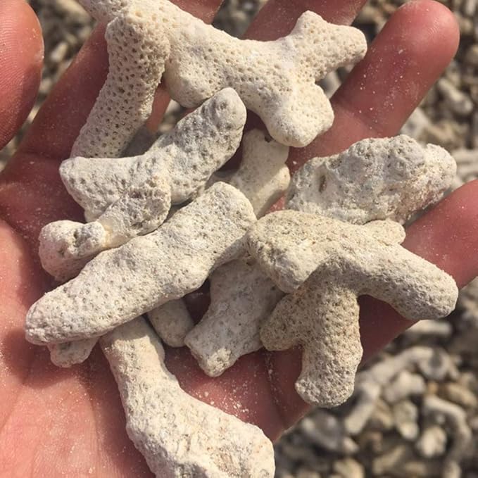 Bones Coral,Coral,For Aquarium,Milled Coral For Aquarium,Fish, Freshwater Aquarium Filtration Materials Pond Filter Media Reusable Aquarium Filter (Light Grey, 500g)