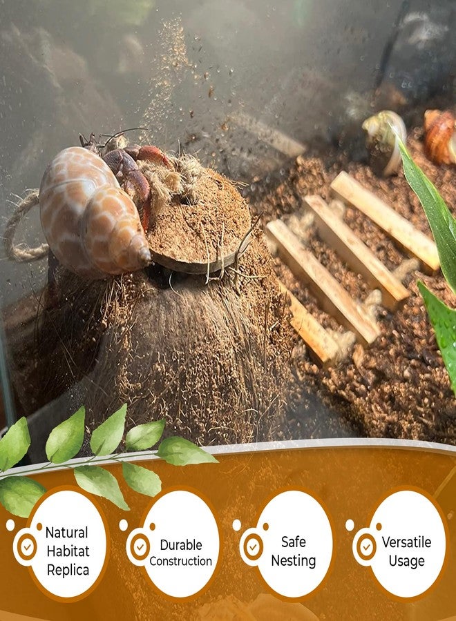 Favozio Leopard & Crested Gecko Coconut Cave Reptile Hide with Ladder, Snake Natural Coco Shell Hut Hideout, Terrarium Tank Decor Accessories, Hamster Climbing Toy, with Sticky Wall & Carabiner Hook - Image 4