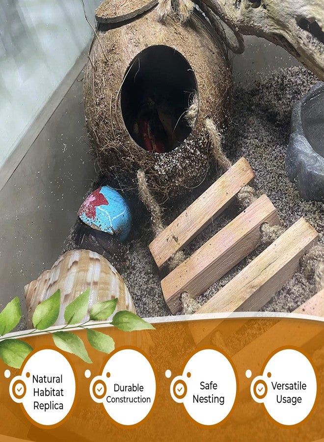 Favozio Leopard & Crested Gecko Coconut Cave Reptile Hide with Ladder, Snake Natural Coco Shell Hut Hideout, Terrarium Tank Decor Accessories, Hamster Climbing Toy, with Sticky Wall & Carabiner Hook - Image 5