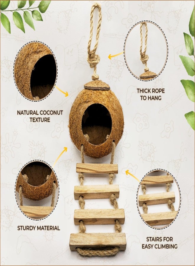 Favozio Leopard & Crested Gecko Coconut Cave Reptile Hide with Ladder, Snake Natural Coco Shell Hut Hideout, Terrarium Tank Decor Accessories, Hamster Climbing Toy, with Sticky Wall & Carabiner Hook - Image 2
