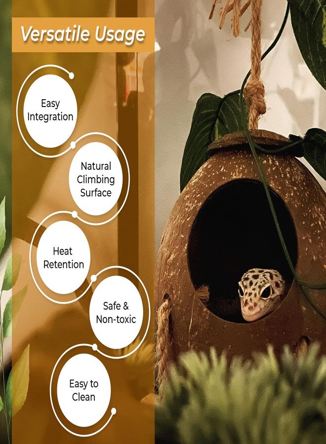 Favozio Leopard & Crested Gecko Coconut Cave Reptile Hide with Ladder, Snake Natural Coco Shell Hut Hideout, Terrarium Tank Decor Accessories, Hamster Climbing Toy, with Sticky Wall & Carabiner Hook - Image 3