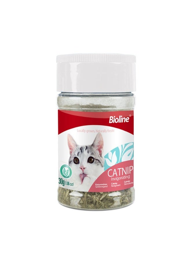 Bioline Catnip Leaves 100% Natural Cat Enrichment 30g From Varmacy - Image 1