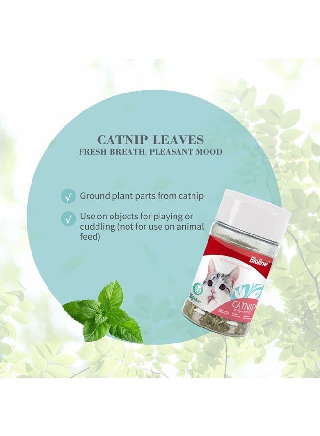 Bioline Catnip Leaves 100% Natural Cat Enrichment 30g From Varmacy - Image 2